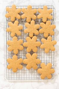 Step by step preparation of Amber Gingerbread Cookies from dough - Arina Photography
