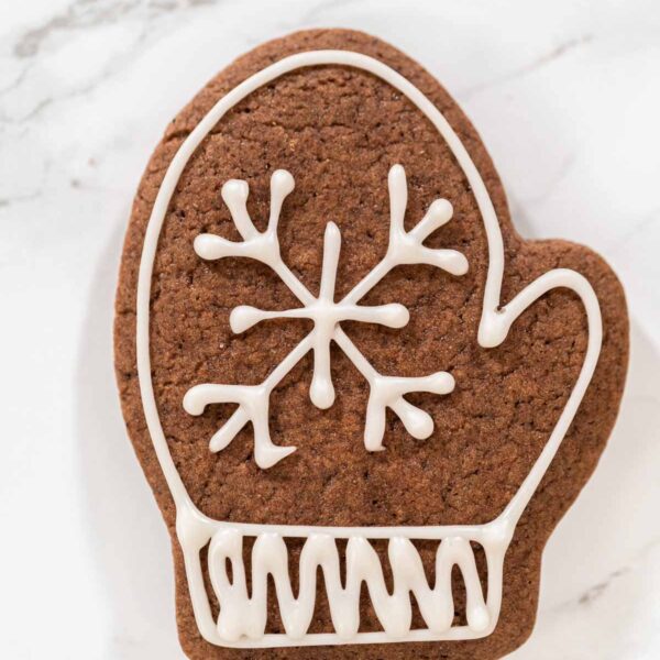 Beautifully Decorated Mitten Cookies with Royal Icing Designs - Arina Photography