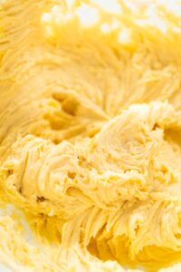 835-05122 - Arina Photography Close-up of soft, fluffy lemon spritz cookie dough after fully mixed and ready to load into the cookie press.