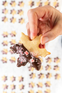 Making Chocolate Dipped Peppermint Sugar Cookies - Arina Photography