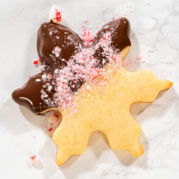 Making Chocolate Dipped Peppermint Sugar Cookies - Arina Photography